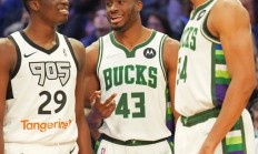 乐鱼体育活动-雄鹿大胜热火，字母哥砍下36分斩杀对手的简单介绍