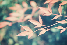 快船队实现了不可思议的绝地反击