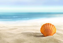 弗赖堡主场告捷，士气高昂争夺冠军