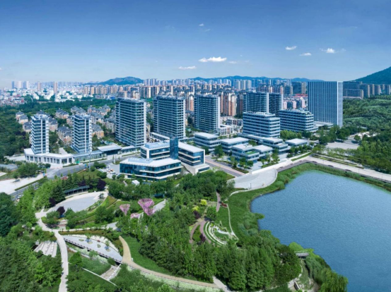 关于杭州绿城战术运作巧妙，期待后续表现的信息